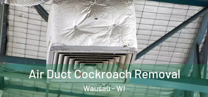  Air Duct Cockroach Removal Wausau - WI