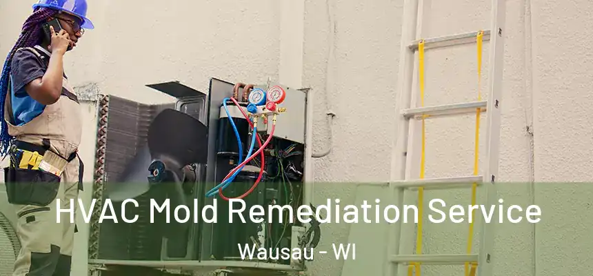  HVAC Mold Remediation Service Wausau - WI