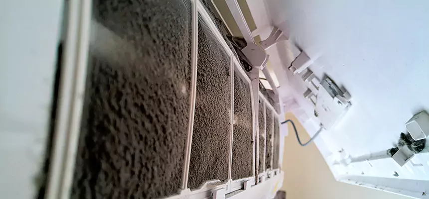 Preventive Air Duct Bacteria Removal in Wausau