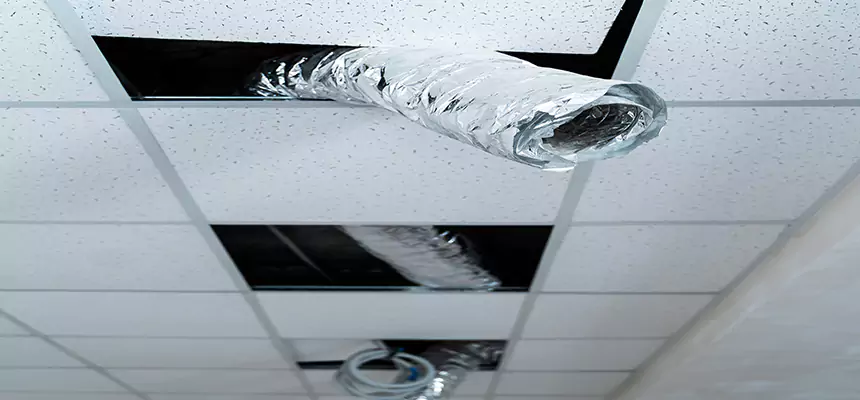 Our Air Duct Pet Hair Removal Services in Wausau, WI