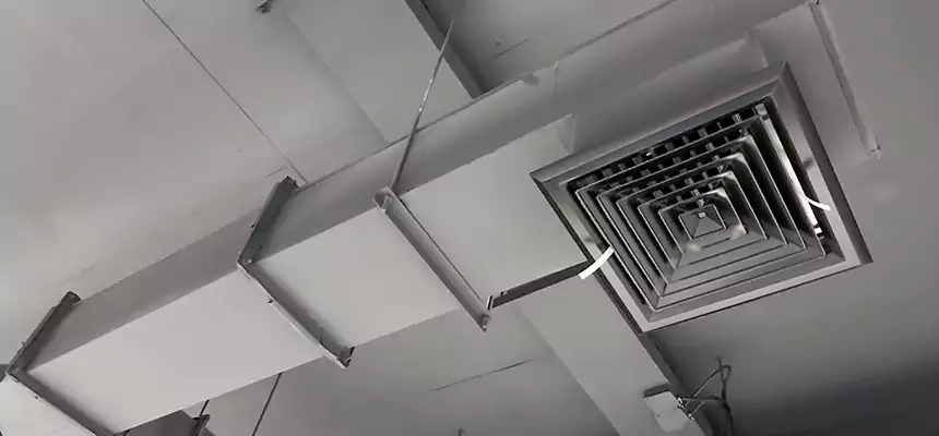 Our Rodent Droppings In Vents Services in Wausau, WI