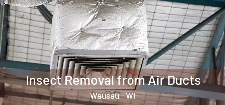  Insect Removal from Air Ducts Wausau - WI