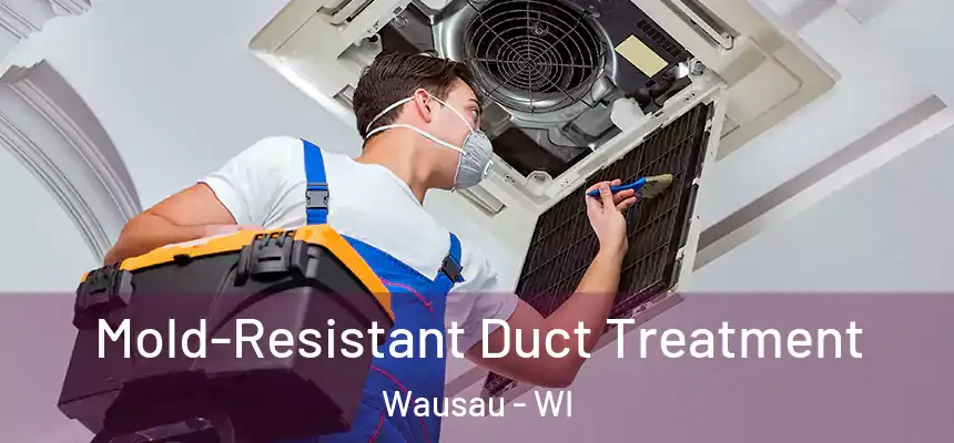 Mold-Resistant Duct Treatment Wausau - WI