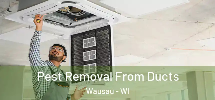  Pest Removal From Ducts Wausau - WI