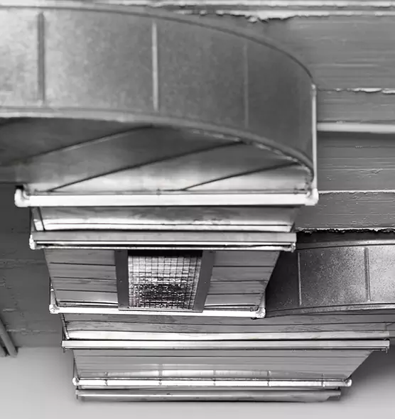 Professional Air Duct Pet Hair Removal in Wausau, WI