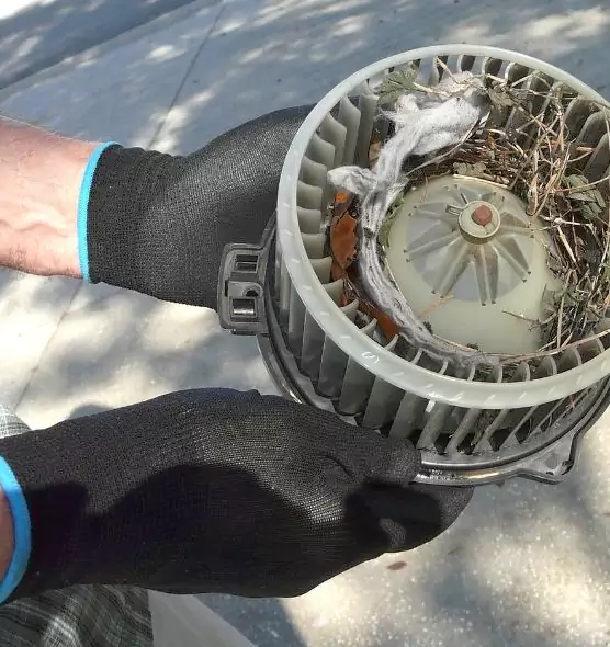 About Air Duct Rat Removal in Wausau, WI