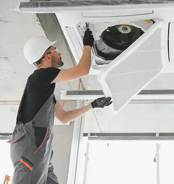 About Air Duct Rodent Removal in Wausau, WI