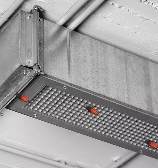 Affordable Insect Removal from Air Ducts in Wausau, WI